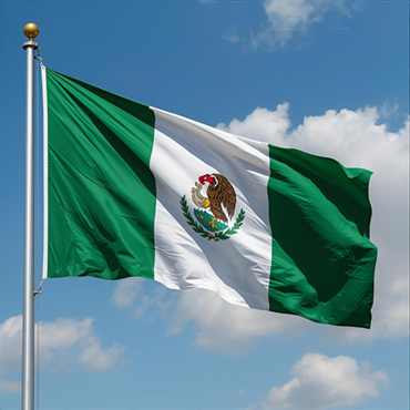 Flag of Nigeria