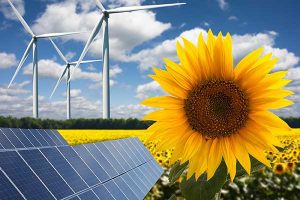 The Future of Renewable Energy in Nigeria